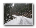 2010-02-20 Grossman (15) Big snow flakes